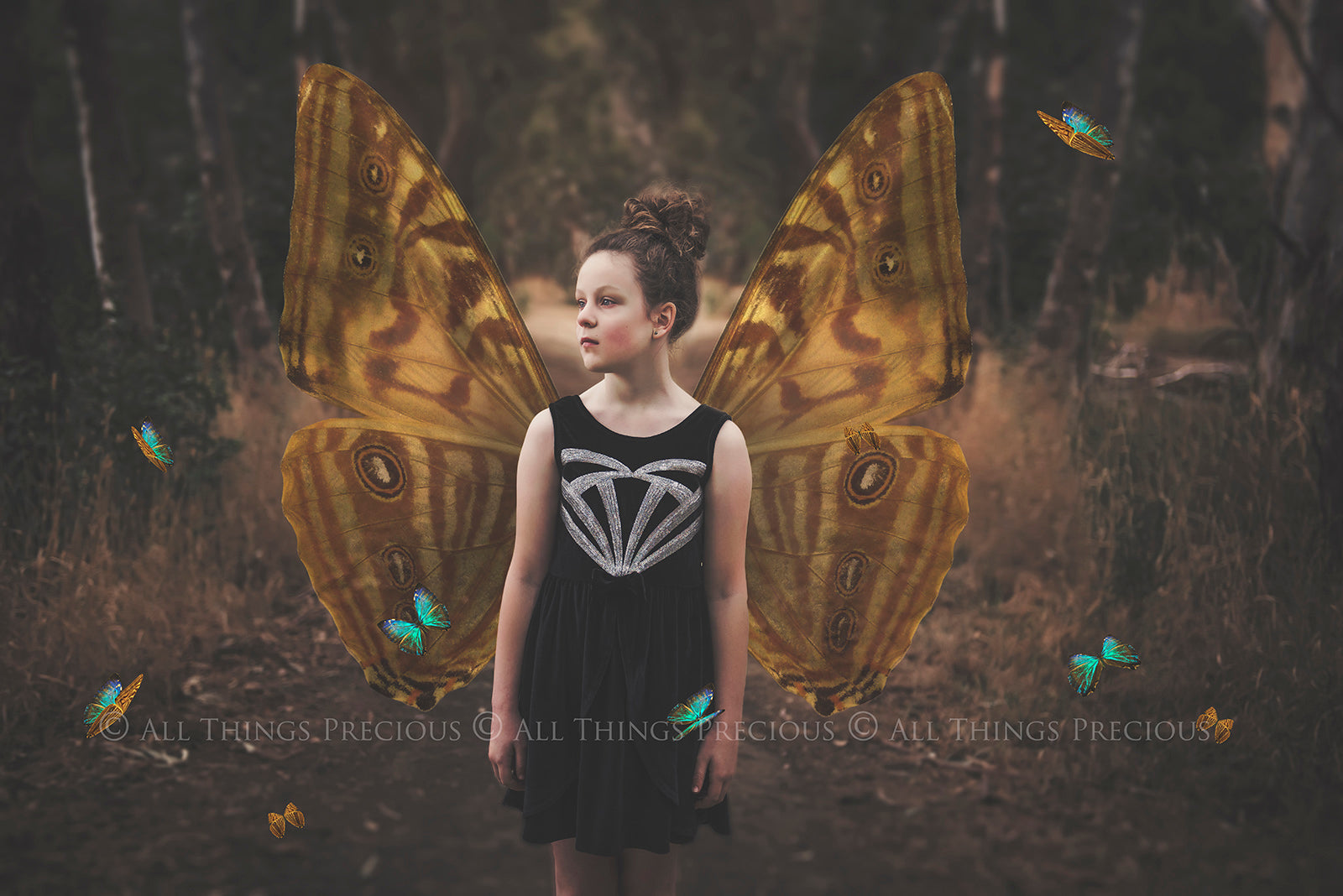 Butterfly fairy wings, Png overlays for photoshop. Photography editing. High resolution, 300dpi. Overlay for photography. Digital stock and resources. Graphic design. Wings for Photos. Colourful Faerie Wings. Butterflies. Overlays for Edits.